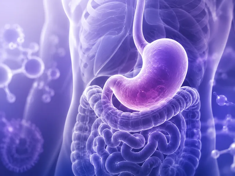 Gastrointestinal APIs sourcing visual